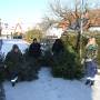 JF 2009 2 Weihnachtsbaumsammlung 1 (3)